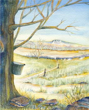 Picture